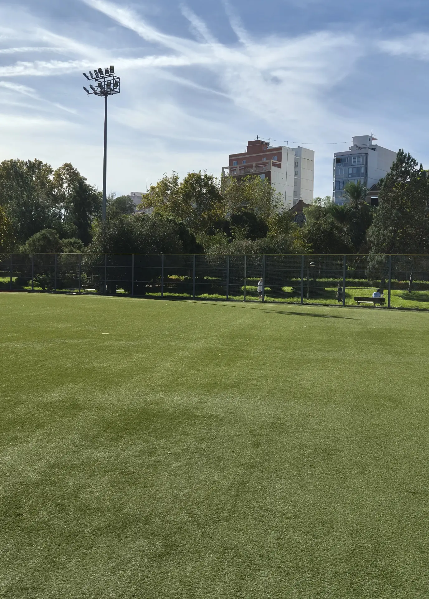 Floodlight and trees over the grass field at the Valencia ground